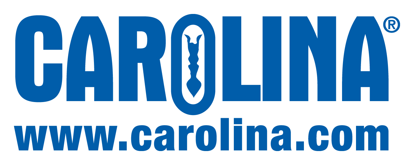 carolina logo and web address