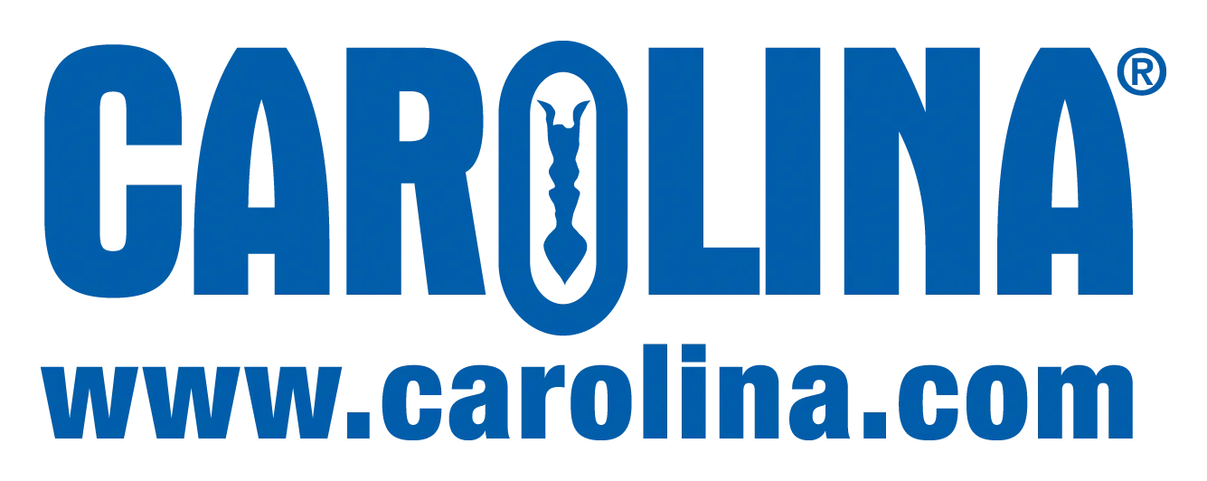 carolina logo and web address