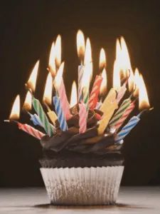 It's our 11th birthday