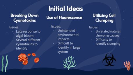 Algal bloop initial ideas