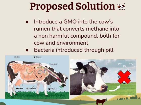 Bovine Methane reduction