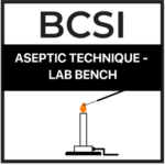 BCSI badge